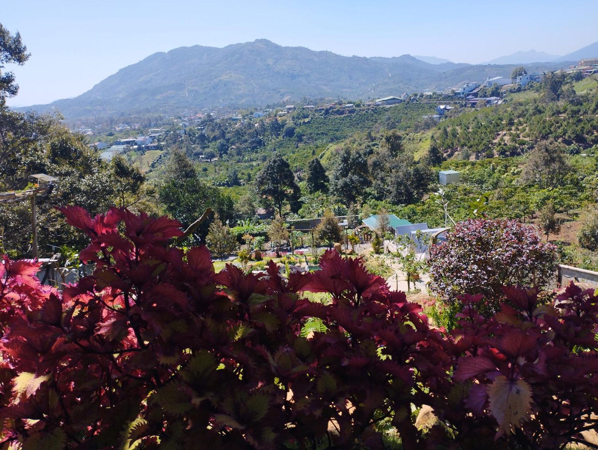 Homestay Chan Que Bao Loc Exterior foto